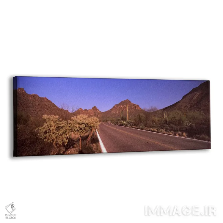 تابلو دکوراتیو Saguaro National Park, Tucson, Pima County, Arizona, US… اثر پانورامیک ایمجز - نمای پرسپکتیو محصول