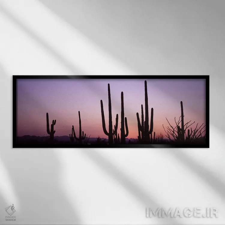 تابلو دکوراتیو Saguaro National Park, Tucson, Pima County, Arizona, US… اثر پانورامیک ایمجز - نمای قابدار مشکی