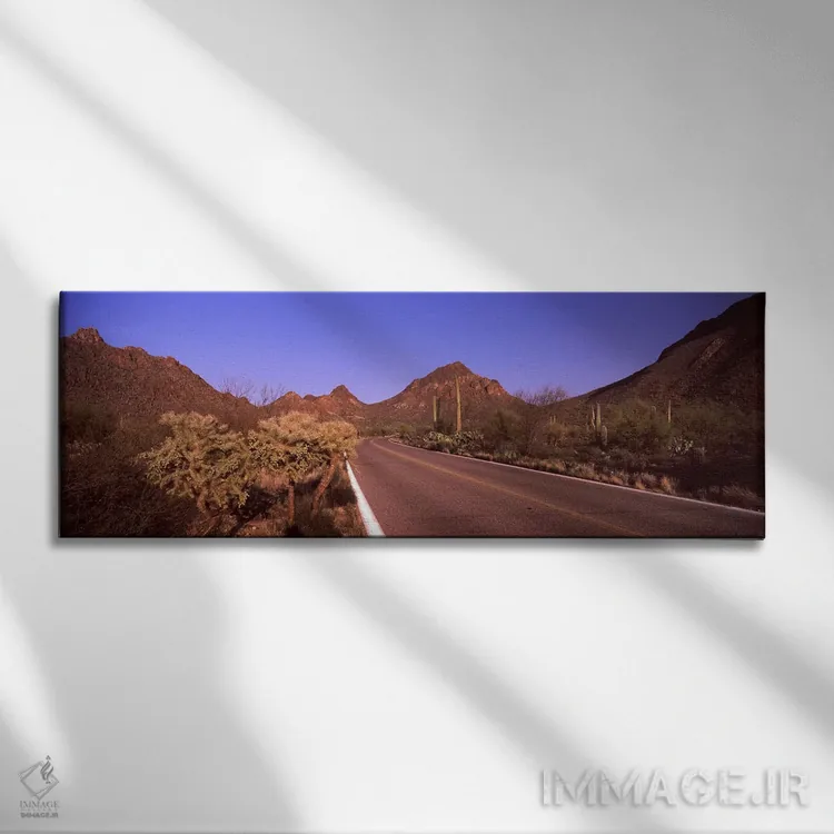 تابلو دکوراتیو Saguaro National Park, Tucson, Pima County, Arizona, US… اثر پانورامیک ایمجز - نمای روبهرو روی دیوار
