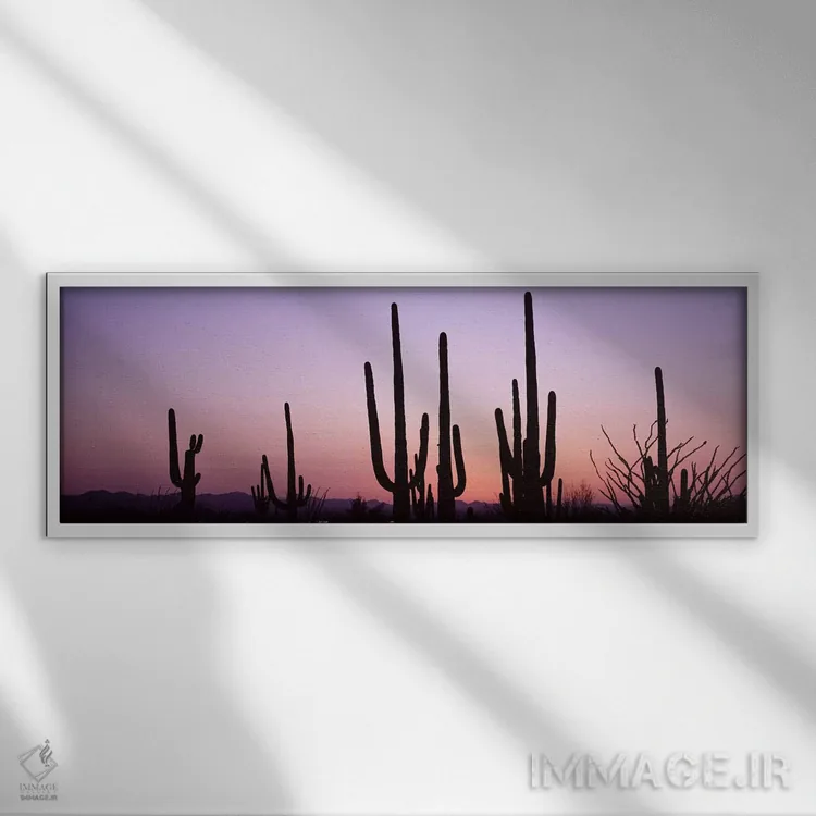 تابلو دکوراتیو Saguaro National Park, Tucson, Pima County, Arizona, US… اثر پانورامیک ایمجز - نمای قابدار سفید