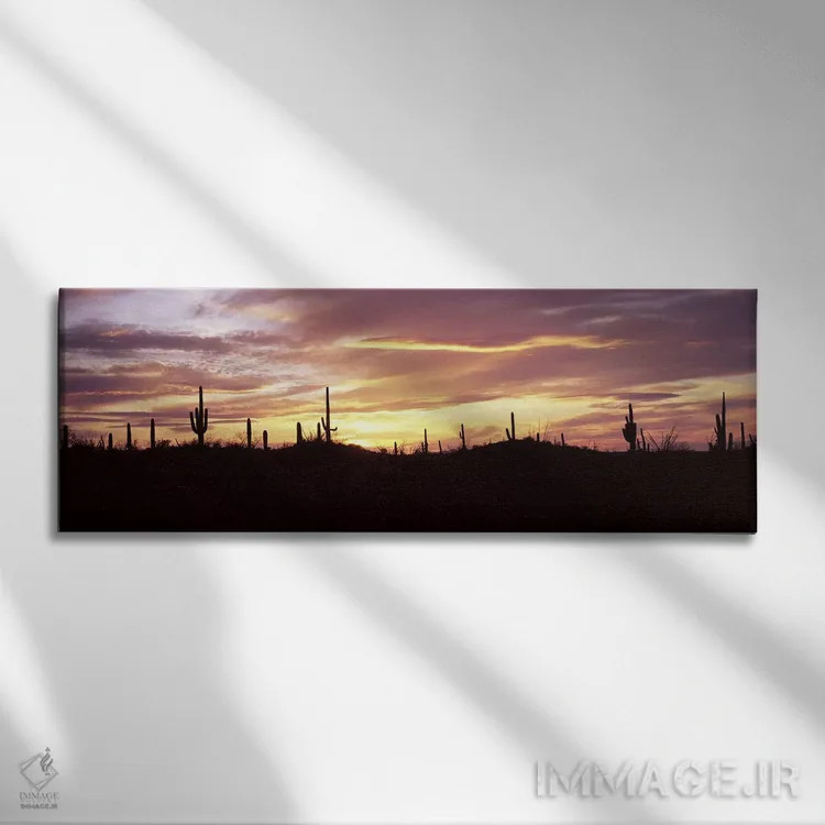 تابلو دکوراتیو Saguaro National Park, Tucson, Pima County, Arizona, US… اثر پانورامیک ایمجز - نمای روبهرو روی دیوار