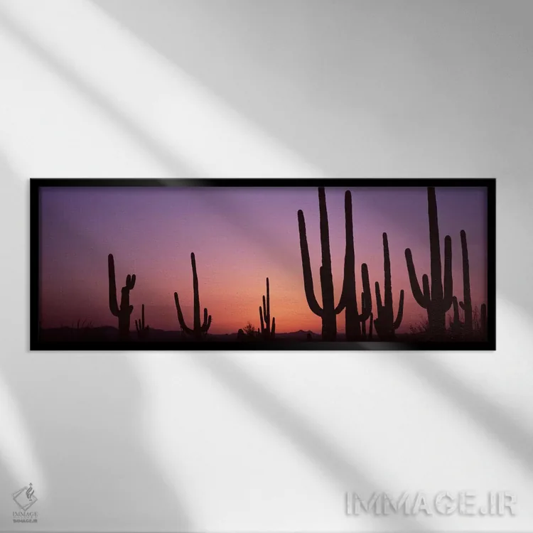تابلو دکوراتیو Saguaro National Park, Tucson, Pima County, Arizona, US… اثر پانورامیک ایمجز - نمای قابدار مشکی