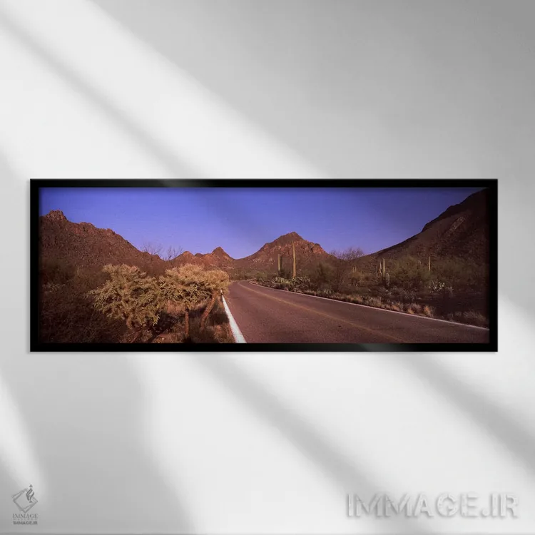 تابلو دکوراتیو Saguaro National Park, Tucson, Pima County, Arizona, US… اثر پانورامیک ایمجز - نمای قابدار مشکی