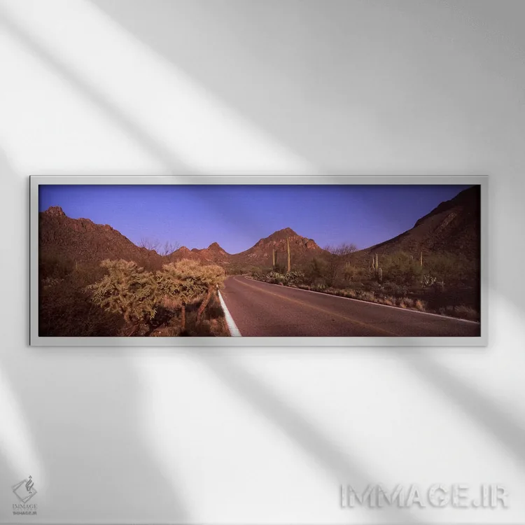 تابلو دکوراتیو Saguaro National Park, Tucson, Pima County, Arizona, US… اثر پانورامیک ایمجز - نمای قابدار سفید