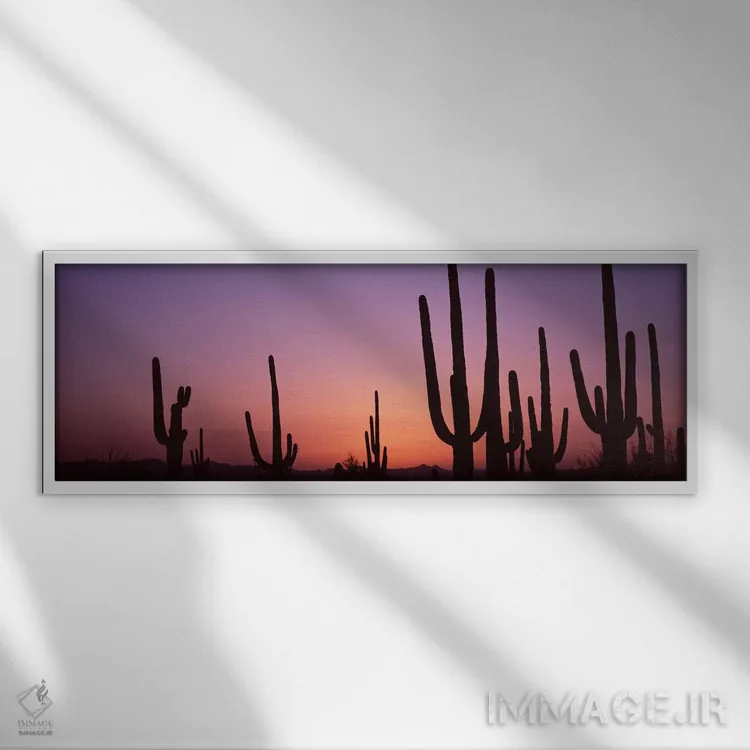 تابلو دکوراتیو Saguaro National Park, Tucson, Pima County, Arizona, US… اثر پانورامیک ایمجز - نمای قابدار سفید