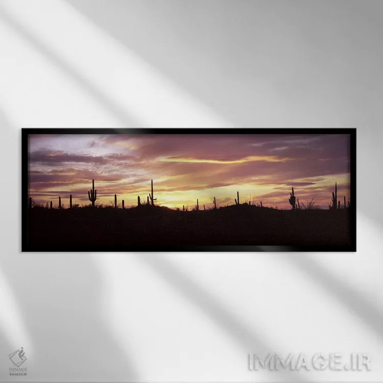 تابلو دکوراتیو Saguaro National Park, Tucson, Pima County, Arizona, US… اثر پانورامیک ایمجز - نمای قابدار مشکی
