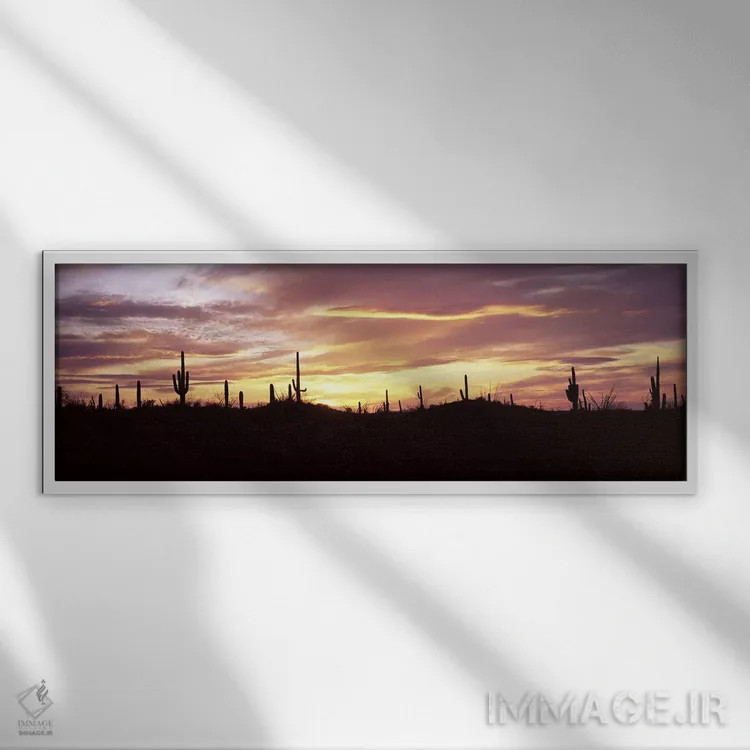 تابلو دکوراتیو Saguaro National Park, Tucson, Pima County, Arizona, US… اثر پانورامیک ایمجز - نمای قابدار سفید