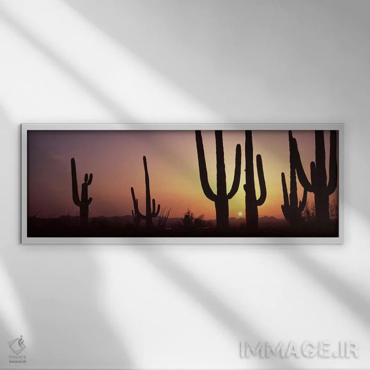 تابلو دکوراتیو Saguaro National Park, Tucson, Pima County, Arizona, US… اثر پانورامیک ایمجز - نمای قابدار سفید