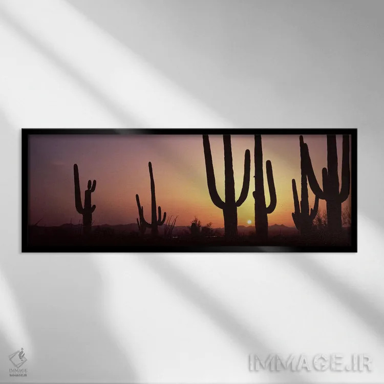 تابلو دکوراتیو Saguaro National Park, Tucson, Pima County, Arizona, US… اثر پانورامیک ایمجز - نمای قابدار مشکی