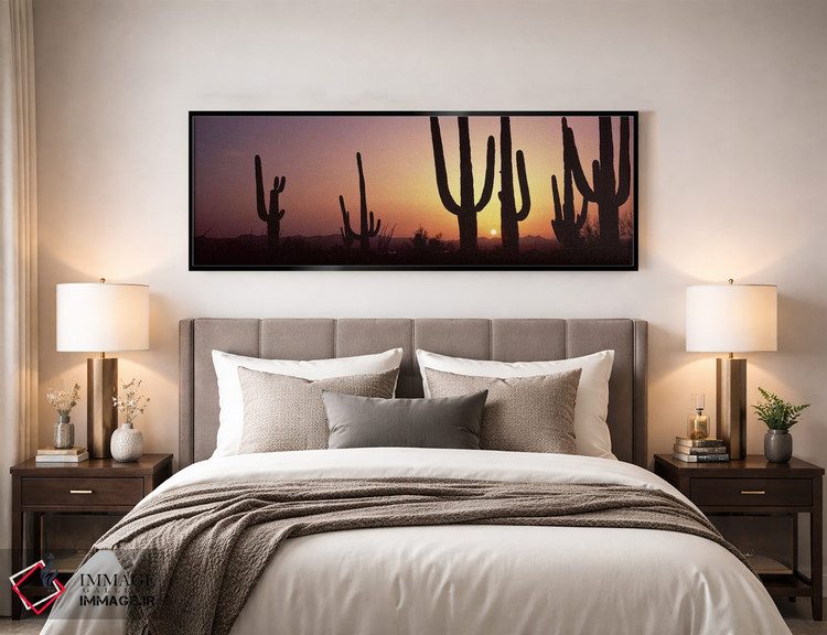 تابلو دکوراتیو Saguaro National Park, Tucson, Pima County, Arizona, US… اثر پانورامیک ایمجز - D5B