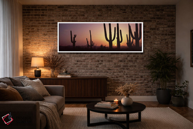 تابلو دکوراتیو Saguaro National Park, Tucson, Pima County, Arizona, US… اثر پانورامیک ایمجز - D4W