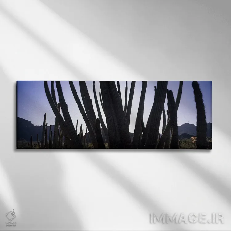 تابلو دکوراتیو Organ Pipe Cactus National Monument, Arizona, USA,کاکتو… اثر پانورامیک ایمجز - نمای روبهرو روی دیوار
