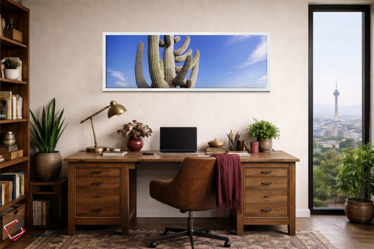 تابلو دکوراتیو Saguaro National Park, Tucson, Pima County, Arizona, US… اثر پانورامیک ایمجز - D1W