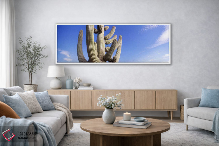 تابلو دکوراتیو Saguaro National Park, Tucson, Pima County, Arizona, US… اثر پانورامیک ایمجز - D3W