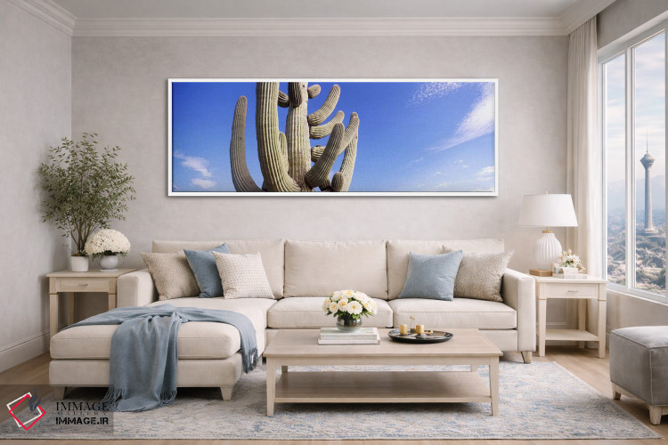 تابلو دکوراتیو Saguaro National Park, Tucson, Pima County, Arizona, US… اثر پانورامیک ایمجز - D4W
