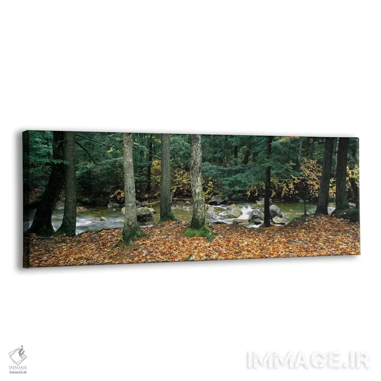 تابلو دکوراتیو White Mountain National Forest, New Hampshire, USA,رودخ… اثر پانورامیک ایمجز - نمای پرسپکتیو محصول