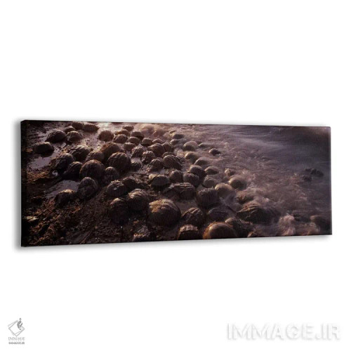 تابلو دکوراتیو spawning, Port Mahon, Delaware River, Delaware, USA,نعل… اثر پانورامیک ایمجز - نمای پرسپکتیو محصول