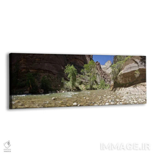 تابلو دکوراتیو Zion National Park, Washington County, Utah, USA,شاخه ش… اثر پانورامیک ایمجز - نمای پرسپکتیو محصول