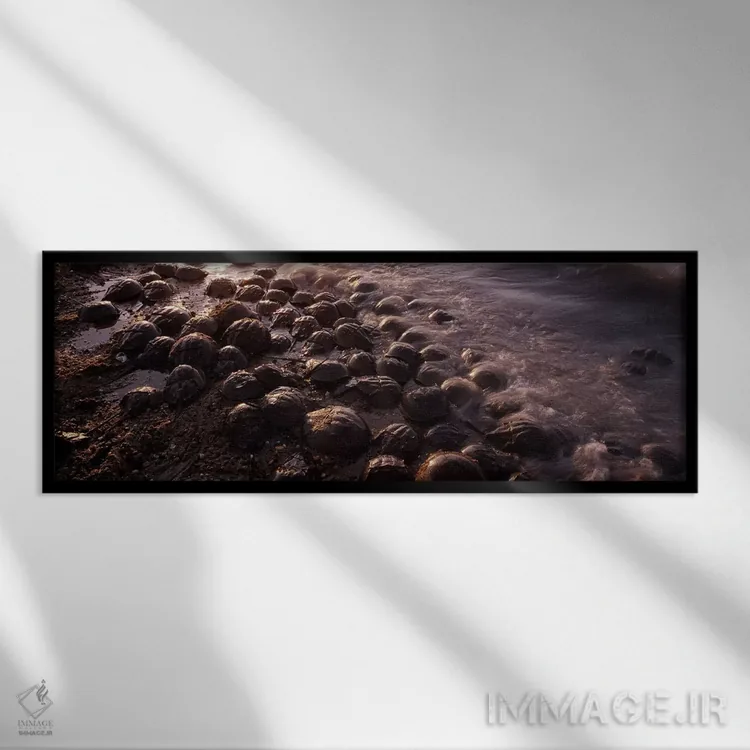 تابلو دکوراتیو spawning, Port Mahon, Delaware River, Delaware, USA,نعل… اثر پانورامیک ایمجز - نمای قابدار مشکی