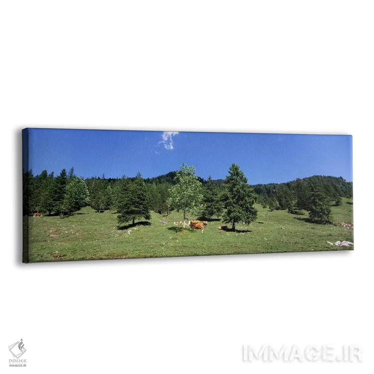 تابلو دکوراتیو Karwendel Mountains, Risstal Valley, Hinterriss, Tyrol… اثر پانورامیک ایمجز - نمای پرسپکتیو محصول