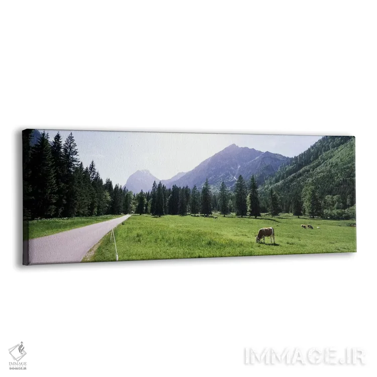 تابلو دکوراتیو Karwendel Mountains, Risstal Valley, Hinterriss, Tyrol… اثر پانورامیک ایمجز - نمای پرسپکتیو محصول
