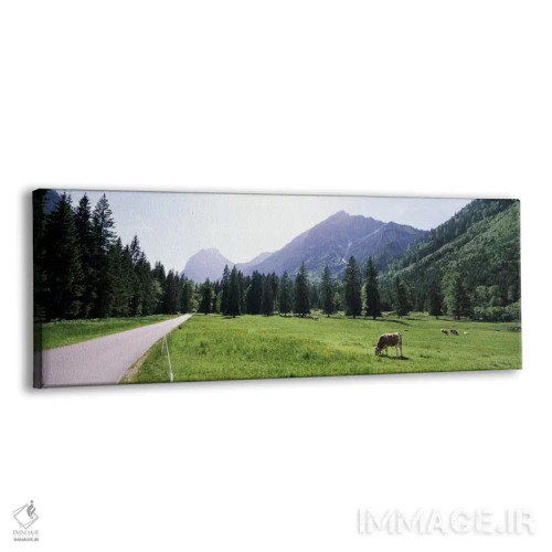 تابلو دکوراتیو Karwendel Mountains, Risstal Valley, Hinterriss, Tyrol… اثر پانورامیک ایمجز - نمای پرسپکتیو محصول