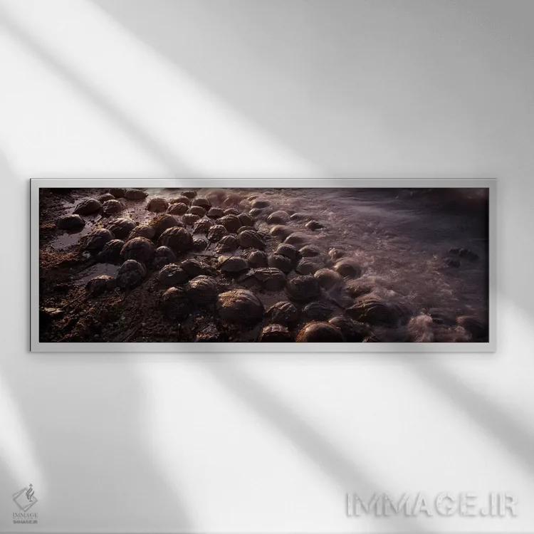 تابلو دکوراتیو spawning, Port Mahon, Delaware River, Delaware, USA,نعل… اثر پانورامیک ایمجز - نمای قابدار سفید