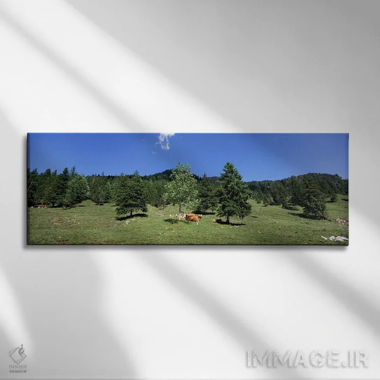 تابلو دکوراتیو Karwendel Mountains, Risstal Valley, Hinterriss, Tyrol… اثر پانورامیک ایمجز - نمای روبهرو روی دیوار