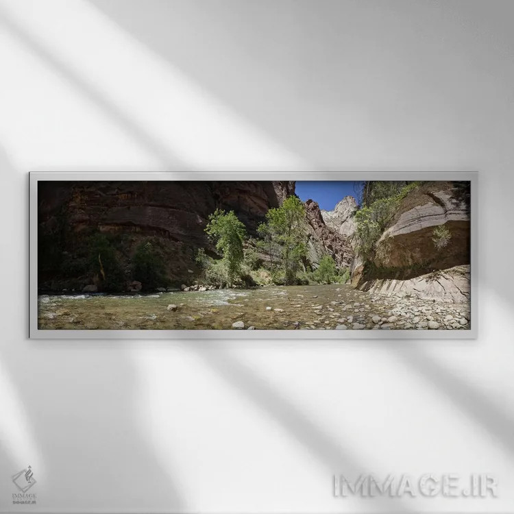 تابلو دکوراتیو Zion National Park, Washington County, Utah, USA,شاخه ش… اثر پانورامیک ایمجز - نمای قابدار سفید