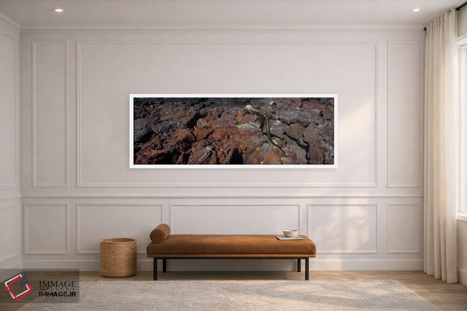 تابلو دکوراتیو Isabela Island, Galapagos Islands, Ecuador #2,ایگوانای… اثر پانورامیک ایمجز - D1W