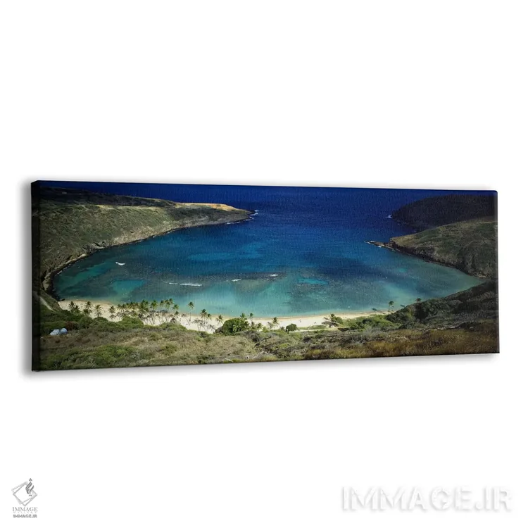 تابلو دکوراتیو Hanauma Bay, Oahu, Honolulu County, Hawaii, USA,نمای زا… اثر پانورامیک ایمجز - نمای پرسپکتیو محصول