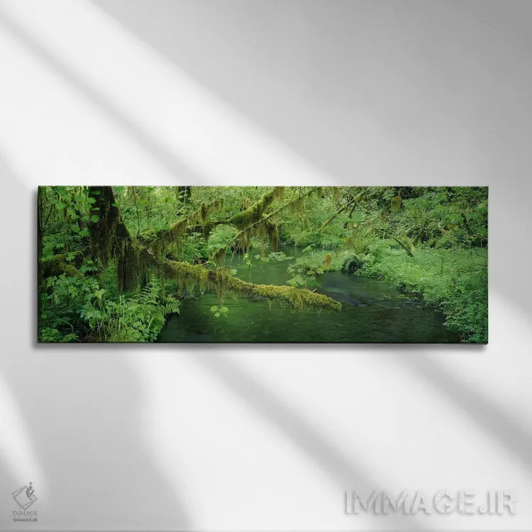 تابلو دکوراتیو Hoh Rainforest, Olympic National Park, Washington, USA… اثر پانورامیک ایمجز - نمای روبهرو روی دیوار