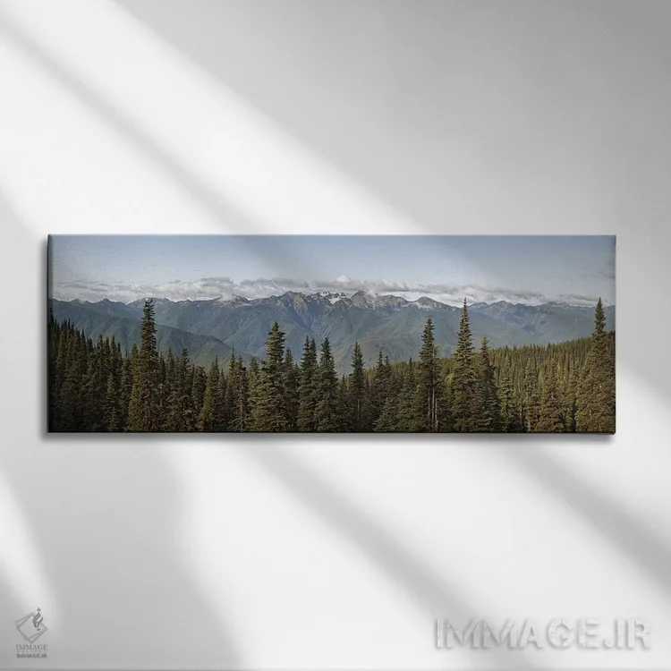 تابلو دکوراتیو Olympic Mountains, Hurricane Ridge, Olympic National Pa… اثر پانورامیک ایمجز - نمای روبهرو روی دیوار