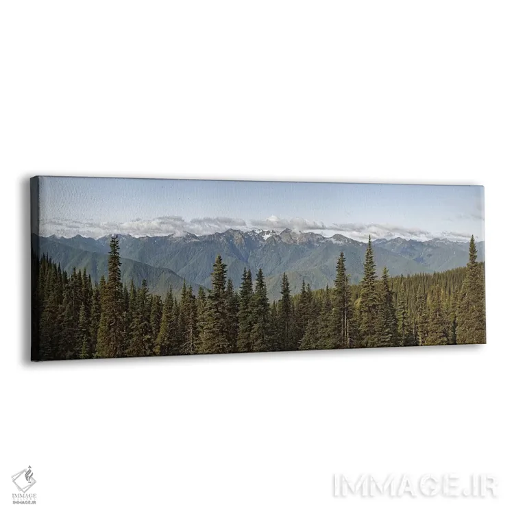 تابلو دکوراتیو Olympic Mountains, Hurricane Ridge, Olympic National Pa… اثر پانورامیک ایمجز - نمای پرسپکتیو محصول