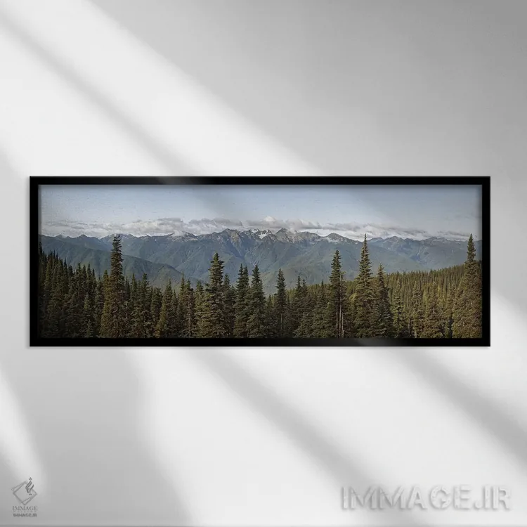 تابلو دکوراتیو Olympic Mountains, Hurricane Ridge, Olympic National Pa… اثر پانورامیک ایمجز - نمای قابدار مشکی