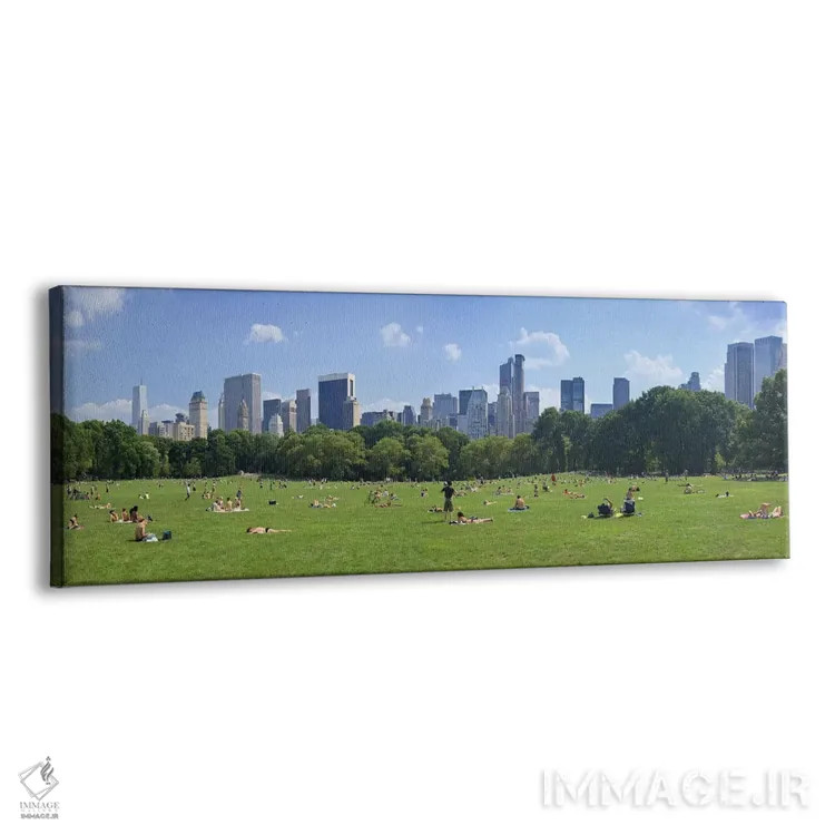 تابلو دکوراتیو Central Park, Manhattan, New York City, New York State… اثر پانورامیک ایمجز - نمای پرسپکتیو محصول