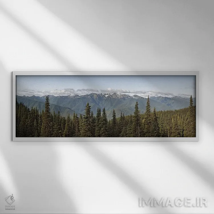تابلو دکوراتیو Olympic Mountains, Hurricane Ridge, Olympic National Pa… اثر پانورامیک ایمجز - نمای قابدار سفید