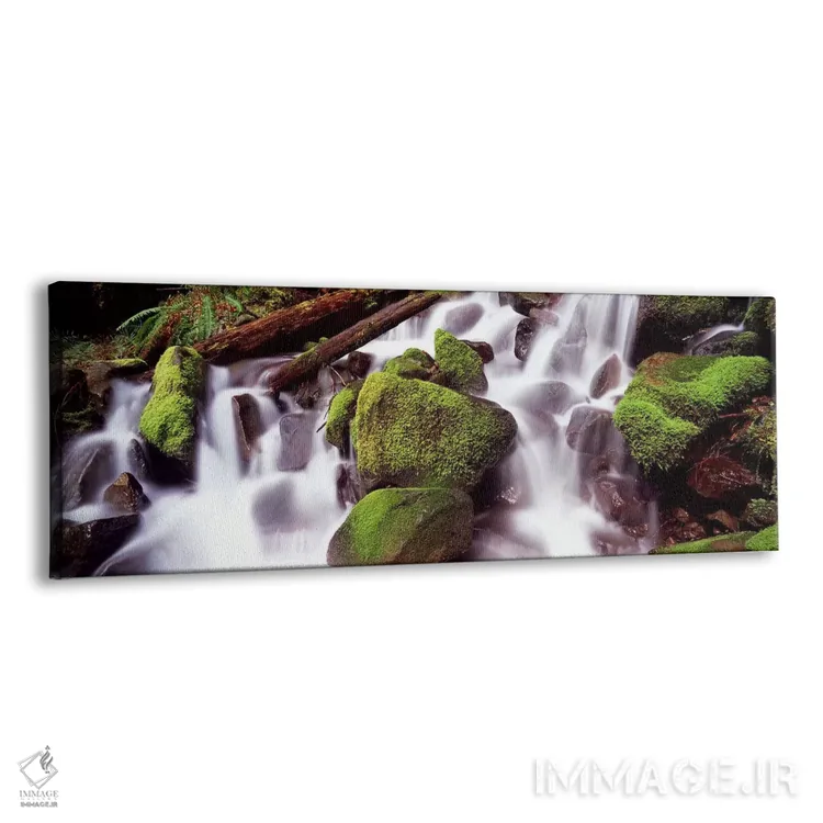 تابلو دکوراتیو Washington State, USA,آبشار پلکانی در جنگل بارانی، پارک… اثر پانورامیک ایمجز - نمای پرسپکتیو محصول