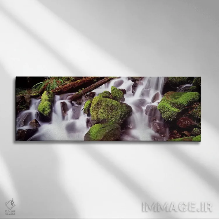 تابلو دکوراتیو Washington State, USA,آبشار پلکانی در جنگل بارانی، پارک… اثر پانورامیک ایمجز - نمای روبهرو روی دیوار