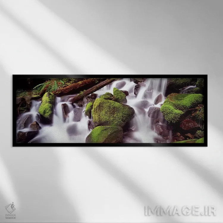تابلو دکوراتیو Washington State, USA,آبشار پلکانی در جنگل بارانی، پارک… اثر پانورامیک ایمجز - نمای قابدار مشکی