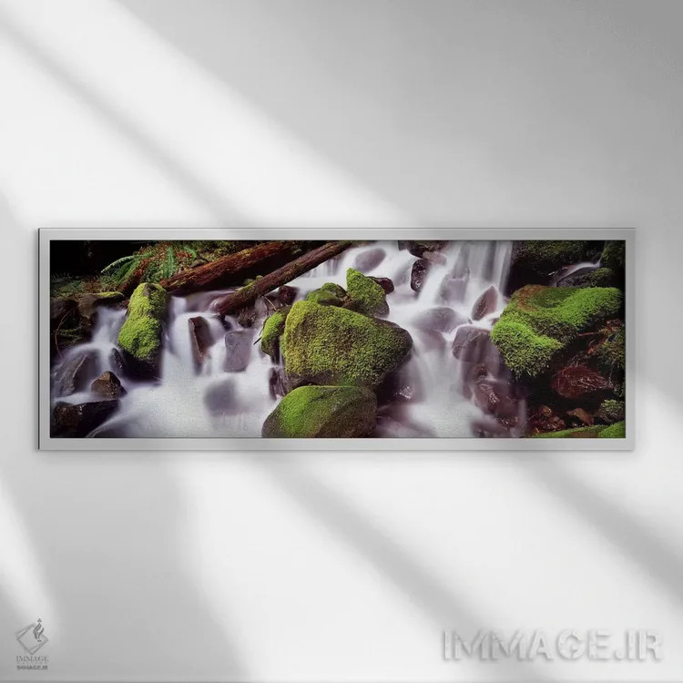 تابلو دکوراتیو Washington State, USA,آبشار پلکانی در جنگل بارانی، پارک… اثر پانورامیک ایمجز - نمای قابدار سفید