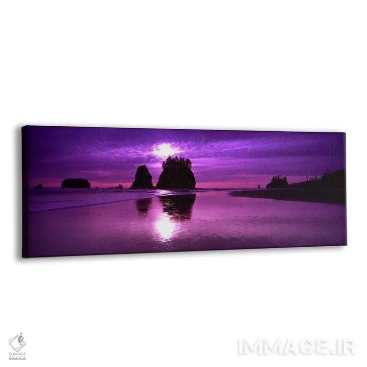 تابلو دکوراتیو Second Beach, Olympic National Park, Washington State… اثر پانورامیک ایمجز - نمای پرسپکتیو محصول