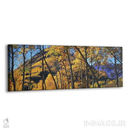تابلو دکوراتیو Maroon Bells, Elk Mountains, Pitkin County, Colorado, U… اثر پانورامیک ایمجز - نمای پرسپکتیو محصول