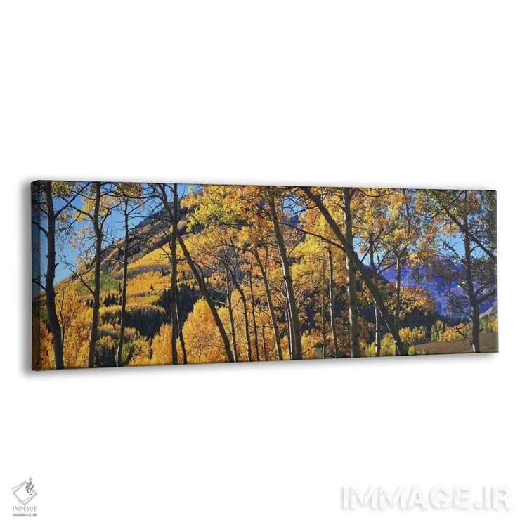 تابلو دکوراتیو Maroon Bells, Elk Mountains, Pitkin County, Colorado, U… اثر پانورامیک ایمجز - نمای پرسپکتیو محصول