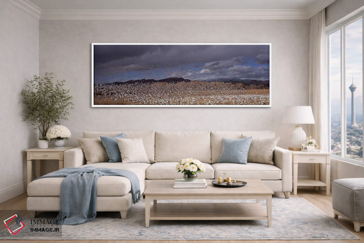 تابلو دکوراتیو Socorro County, New Mexico, USA,پرواز دسته غاز برفی ، م… اثر پانورامیک ایمجز - D4W
