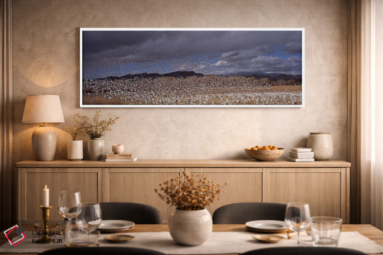 تابلو دکوراتیو Socorro County, New Mexico, USA,پرواز دسته غاز برفی ، م… اثر پانورامیک ایمجز - D2W