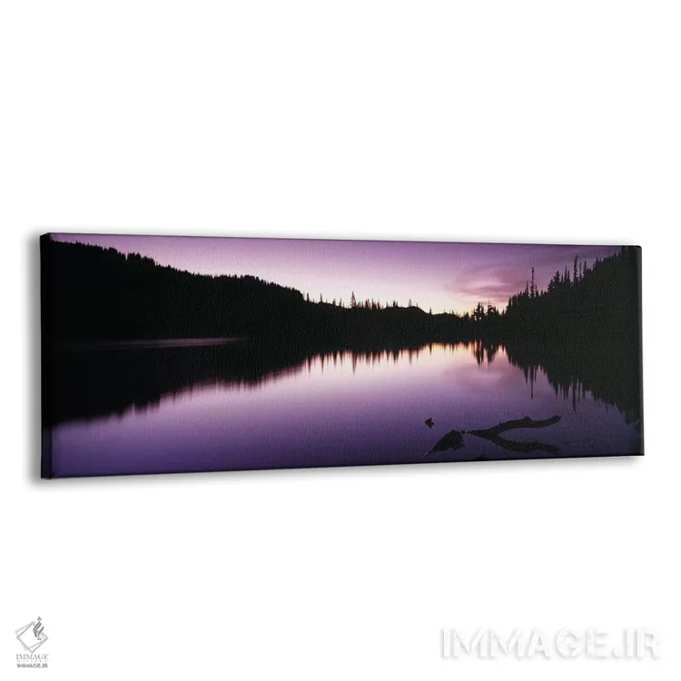تابلو دکوراتیو Mt Rainier, Mt Rainier National Park, Pierce County, Wa… اثر پانورامیک ایمجز - نمای پرسپکتیو محصول