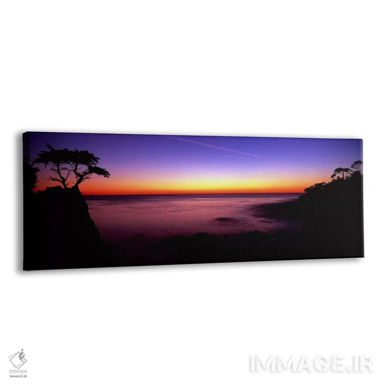 تابلو دکوراتیو 17-Mile Drive, Pebble Beach, Monterey County, Californi… اثر پانورامیک ایمجز - نمای پرسپکتیو محصول