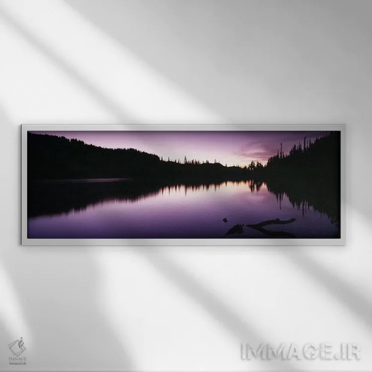 تابلو دکوراتیو Mt Rainier, Mt Rainier National Park, Pierce County, Wa… اثر پانورامیک ایمجز - نمای قابدار سفید