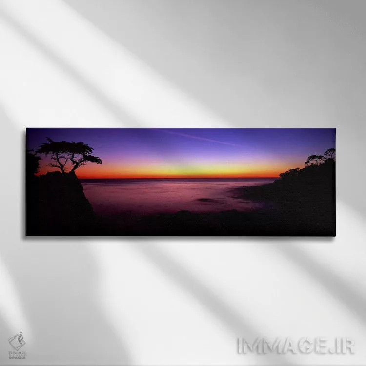 تابلو دکوراتیو 17-Mile Drive, Pebble Beach, Monterey County, Californi… اثر پانورامیک ایمجز - نمای روبهرو روی دیوار